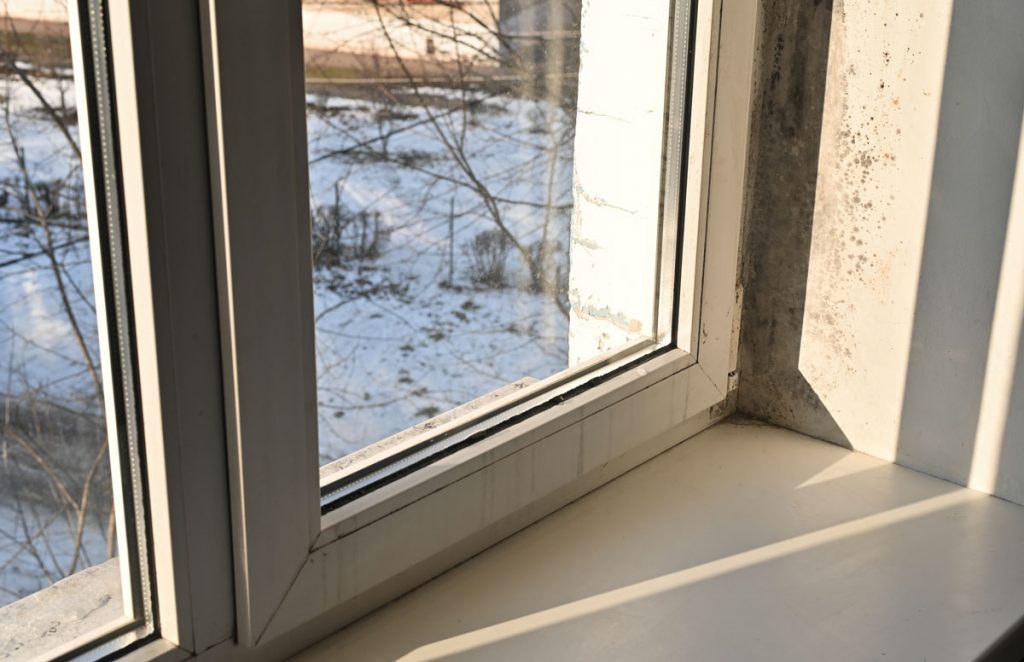 Visible mold growth and condensation buildup around a residential window caused by excess indoor moisture