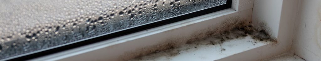 Condensation and visible mold growth around a residential window caused by excess indoor moisture and poor ventilation