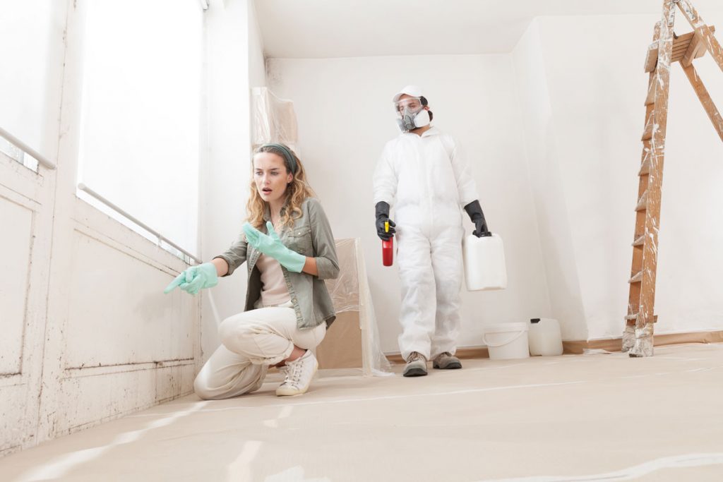 Homeowner identifying visible mold growth while a mold remediation professional prepares for indoor cleanup and air quality treatment