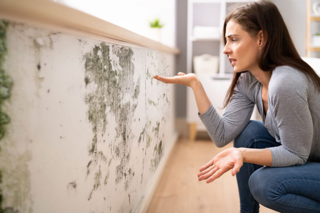 Homeowner discovering visible mold growth on an interior wall caused by excess moisture and poor indoor air quality
