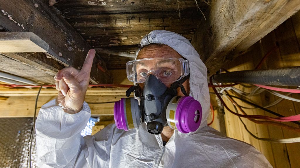 Mold inspector in protective gear examining hidden mold growth in a residential crawl space