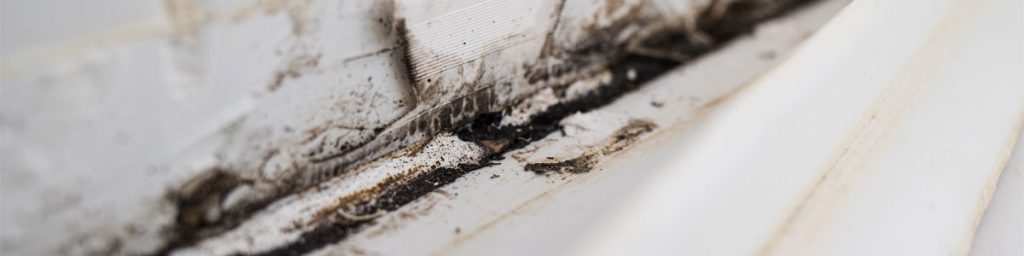 Visible mold growth and moisture staining along an interior window frame, highlighting indoor air quality concerns caused by water intrusion and elevated humidity levels.
