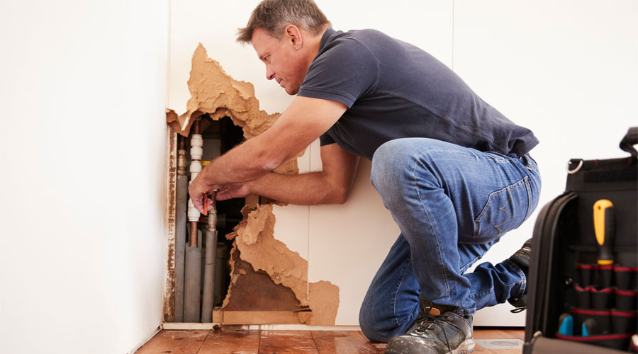 Contractor opening a water-damaged wall to investigate hidden moisture intrusion and plumbing leaks that may contribute to mold growth and indoor air quality concerns.