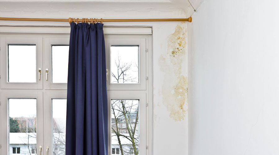 Visible water damage and suspected mold growth on an interior wall near a window, conditions that may contribute to poor indoor air quality and require further environmental investigation.