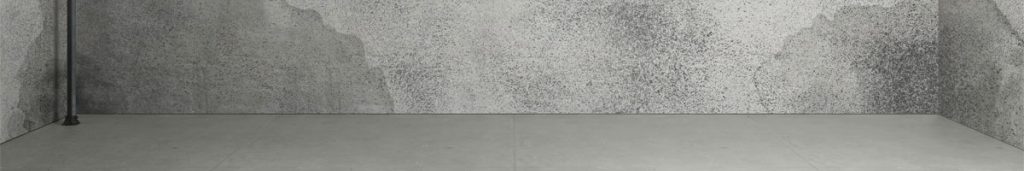Visible mold growth and moisture staining along a residential basement wall