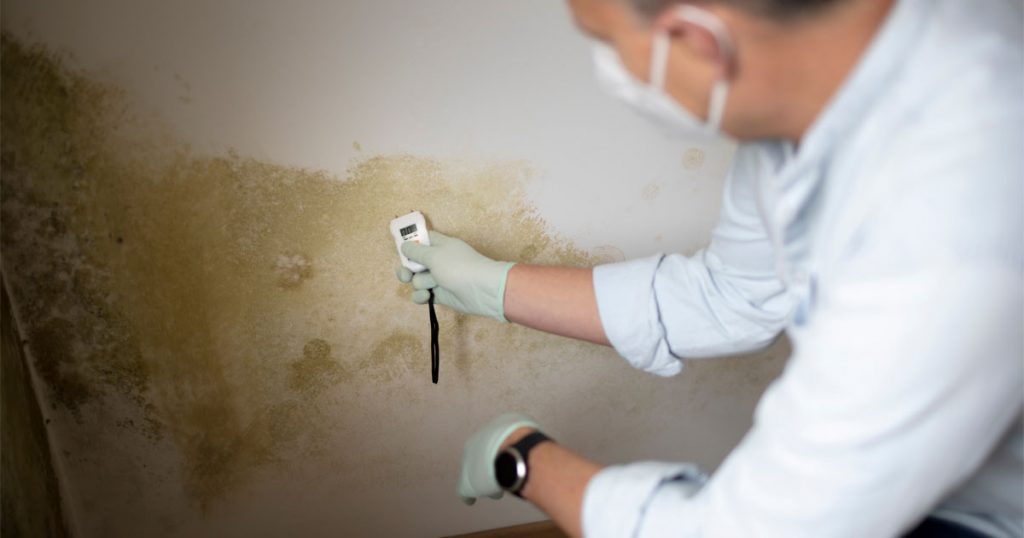 Mold inspector using a moisture meter to evaluate visible mold growth on a damp basement wall