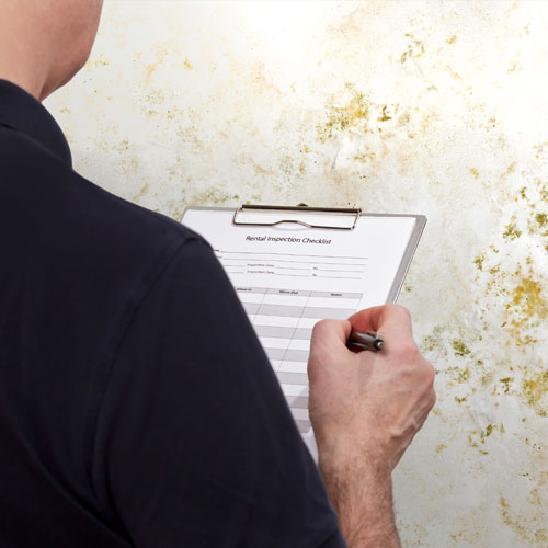 Environmental inspector documenting painted wall conditions during a lead paint inspection for HPD or DOH violation compliance in New York City