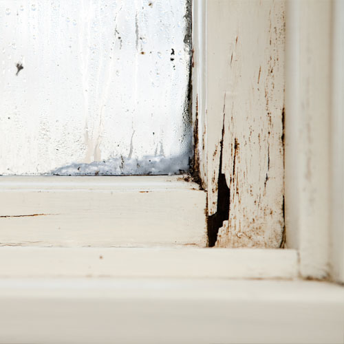 Deteriorated painted window frame in an older New York City home subject to Local Law 66 lead paint requirements
