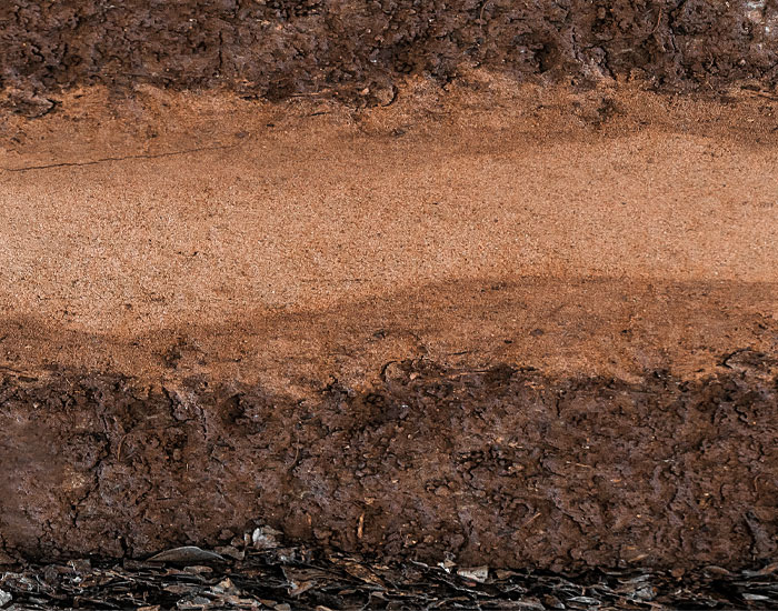 Soil cross-section showing where radon gas forms beneath the ground through the natural breakdown of uranium