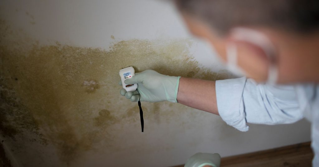 Licensed mold assessor checking moisture conditions on a wall during a mold clearance inspection after remediation.